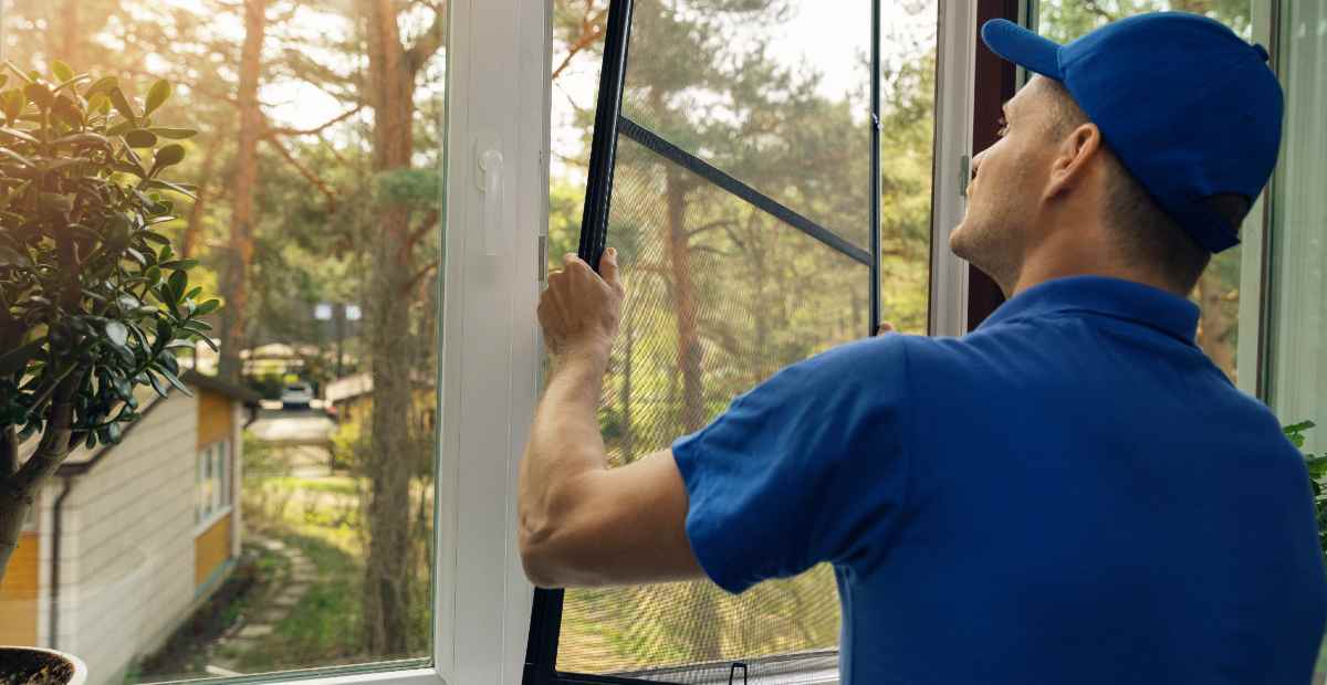 Do-You-Need-Pest-Control-Services-This-Summer-featured-image-5ed7ee897a542