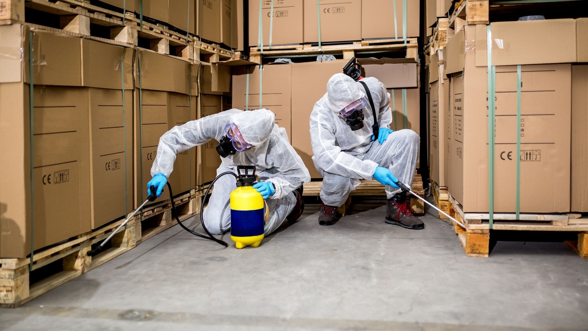 Commercial pest control company