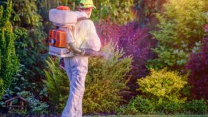 Pest control service