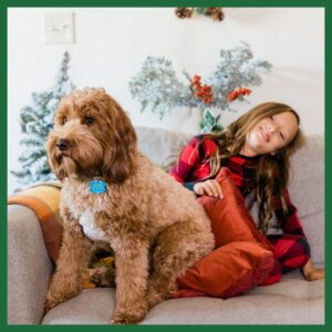 kids and pets